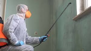 Professional Mold Removal in Tehachapi, CA